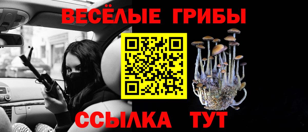 хочу   Псилоцибиновые грибы Cubensis  Вход с VPN  Ирбит 
